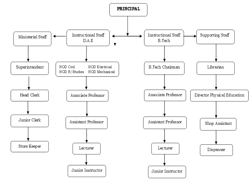 College Organogram